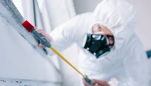 Best Residential Pest Control  in Ben Bolt, TX